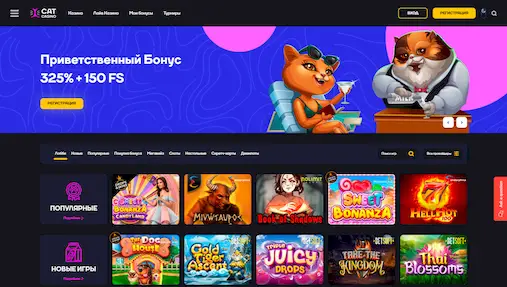 cat casino казино вход